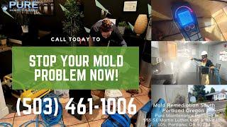 Mold Remediation South Portland Oregon - Pure Maintenance Portland - 503-461-1006