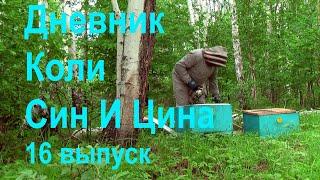 Пасека Сергея Буторина. 2 июня. 16 выпуск