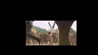 Junglee#khiladi Full hindi# Hindi  Dubbed movi Arya # Catherine Tresa #   Dubbe... #Status video