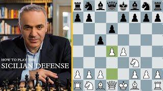 How to Play The Sicilian Defense | Essential Chess Openings