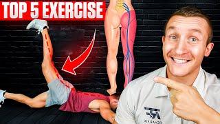 Top 5 Exercises for FAST Sciatica Relief!