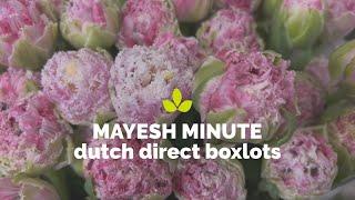 Mayesh Minute: Dutch Direct Flowers May 15