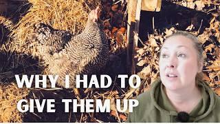 E68 Taming My Garden (and Chicken Sadness)