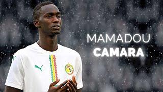 Mamadou Lamine Camara - Season Highlights | 2025