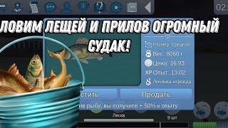 Ловим Лещей и прилов ОГРОМНЫЙ СУДАК! - Реальная Рыбалка 2