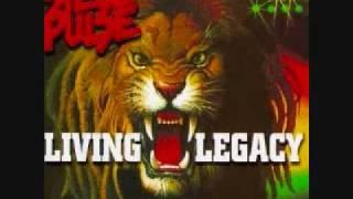 Steel Pulse - Bodyguard  (Living Legacy)