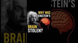 Why Was Einstein's Brain Stolen ? #informative #einstein #shorts #viral #science #education #facts