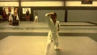 Aaron Nguyen. Kihon Kata Shodan