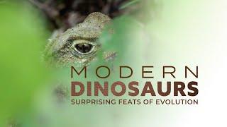 Modern Dinosaurs: The Tuatara