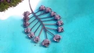 Coco Palm Dhuni Kolhu || MALDIVES RESORT