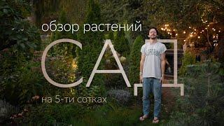 ОБЗОР РАСТЕНИЙ на участке