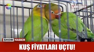 Kuş fiyatları uçtu!