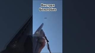 Точный выстрел По ГУСЮ БЕЛОЛОБИК