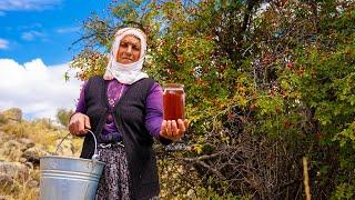 We Picked Rosehips on the Mountain and Made Their Jam - Life in the Village