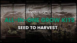 Mars Hydro SP3000 LED & 4'x2' All-in-one Grow Tent Kits |Seed to Harvest Grow Diary     #marshydro