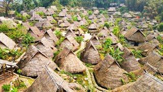 【4K】The last primitive tribe in China: Wengding Village, the remnants of Wa dance and culture.