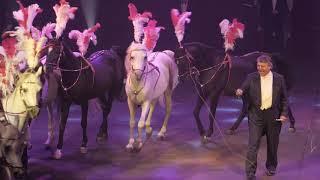 Flavio Togni (Italy, Horses) - 19th International Circus Festival of Italy (2018)