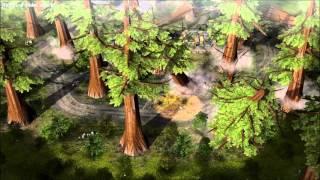 Contra 009 Sequoia Treefall Demonstration