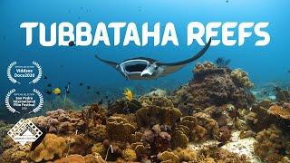 TUBBATAHA REEFS - Heart of the Philippine Seas [Documentary]