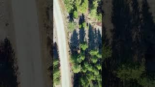 Vernon BC Vacant Lot for Sale | 10551 Columbia Way | 0.30 acres | $229,000