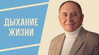 Дыхание Жизни. Обучающее видео. Лосев Станислав