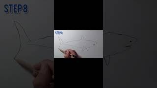 How to draw a Great White Shark | Easy steps|Shark  drawings|Shark drawing tutorials