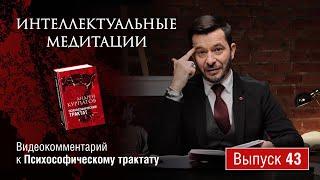 Интеллектуальные медитации. Видеокомментарий к Психософическому трактату: выпуск 43