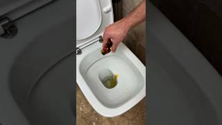 Налейте йод в унитаз. #советы #lifehacks #лайфхак #tips