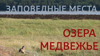 ЗАУРАЛЬЕ - ЭТО ИНТЕРЕСНО! Шедевры природы: "Заповедные места озера Медвежье"