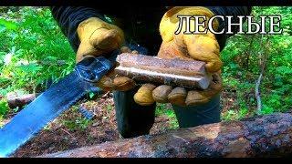 7 ПРОСТЫХ СОВЕТОВ ДЛЯ ЛЕСА | 7 BUSHCRAFT TIPS