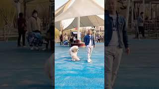 Dancing, 