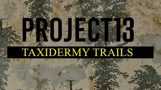 Project 13: Taxidermy Trails