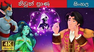 The Twin Souls in Sinhala | Sinhala Cartoon | @SinhalaFairyTales