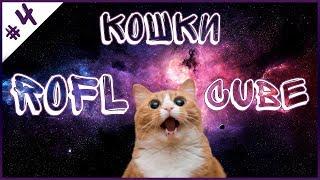 КОШКИ! Лучшие Приколы С Кошками/ Рофляндия/приколы с котами!