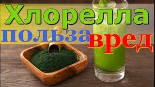 Хлорелла полезные свойства и противопоказания. Как принимать