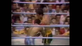 (Insane) De Jesus vs Roberto Duran 2 (highlights)