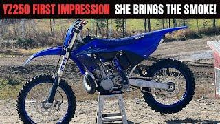 YZ250 TWO STROKE - BETTER THAN MY YZ450?