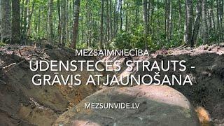 Ūdensteces strauts-grāvis atjaunošana. Videi draudzīga meliorācija.