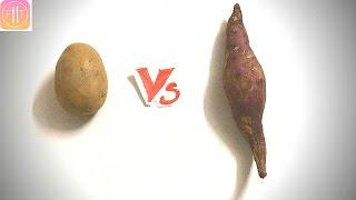 White Potato vs. Sweet Potato