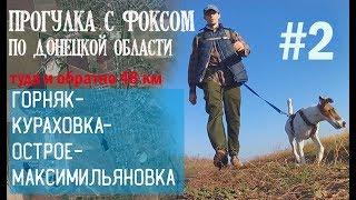 Поход с фокстерьером по Донецкой области#2/Максимильяновка-Александрополь-Зоряное