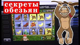 ВОТ КАК НАДО ИГРАТЬ В ИГРОВЫЕ АВТОМАТЫ CRAZY MONKEY /ОБАЛДЕННЫЙ ВЫИГРЫШ В КАЗИНО ВУЛКАН