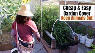 DIY Cheap & Easy Garden Cover | Keep Animals Out