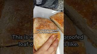 What does over proofed bread look like? #sourdough #bread #tips #ytshorts #shorts #shortsfeed #fyp