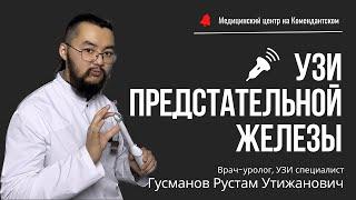 УЗИ предстательной железы