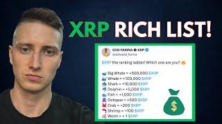 XRP RICH LIST : This is How Many XRP you need to be on Top 10%  [Updated 2025]