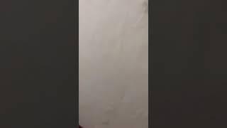 Тошкент Ангрен шаҳри 42-уй томидан сув оқмоқда. Вахоланки уйни томи 1 йил олдин ёпилган.