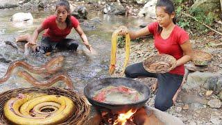 Survival cooking in forest: Catch big eel in waterfall & Big eel soup spicy delicious for lunch