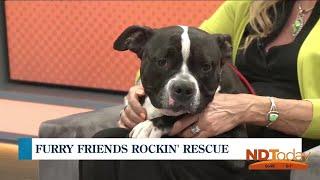 ND Today: Furry Friends Rockin' Rescue