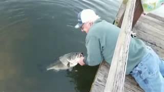 Alabama Man Catches Bass With Bare Hands