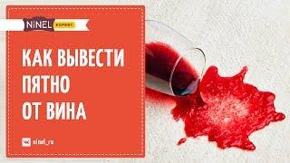 Как вывести пятно от вина? Как почистить пятно от вина?